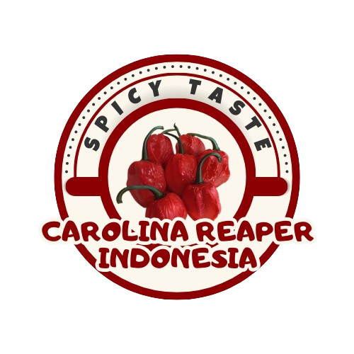 Logo PT.Hip Hip Hura